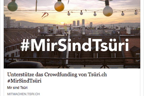 Beitragsbild - zum Beitrag FCZ und Tsüri: FEINHEIT führt die coolsten Zürcher Crowdfunding-Kampagnen